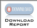 Download your report